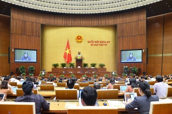 Việt Á, Tân Hoàng Minh và nhiều vụ án tham nhũng bị Ủy ban Tư pháp 