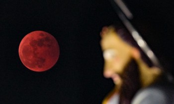 Chiêm ngưỡng vẻ đẹp kỳ thú của 