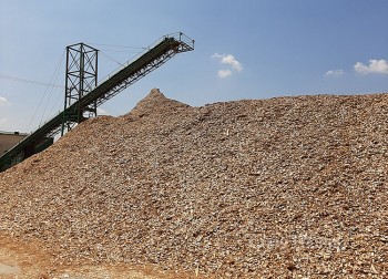 Hoàn thuế VAT, doanh nghiệp ngành gỗ tiếp tục “kêu cứu”