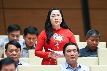 Phó Chủ nhiệm Ủy ban Tư pháp nêu tình trạng 