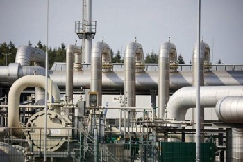 Giá gas hôm nay 12/11: “Đỏ” sàn, giảm mạnh trong phiên cuối tuần