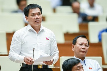 Đại biểu Quốc hội: 