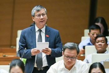 Đại biểu Quốc hội: 