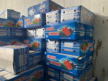 TP. Hồ Chí Minh: Phát hiện kho hàng chứa gần 12 tấn rau Trung Quốc nhập lậu