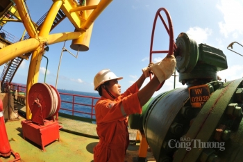 Bài 4: Doanh nghiệp Nhà nước và vai trò “trụ đỡ