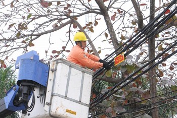 PC Hải Phòng đảm bảo đủ điện, an toàn phục vụ đời sống và sản xuất