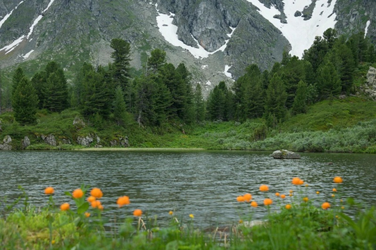 Bí quyết đảm bảo chất lượng cuộc sống cho cả gia đình