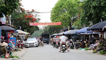 Vụ hơn 600 học sinh Trường Ischool Nha Trang ngộ độc: Khởi tố vụ án hình sự
