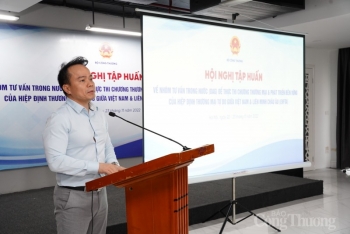 Tập huấn để thực thi hiệu quả Chương thương mại và phát triển bền vững của EVFTA