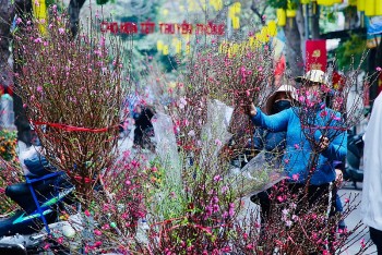 Tết Quý Mão 2023: Chủ động đón một cái “Tết xanh”