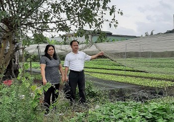 Lâm cảnh khốn cùng 10 năm đội đơn kêu cứu vì Chi cục Thi hành án Củ Chi bán đất “giá bèo”?