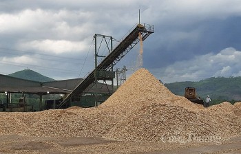 Vì sao dăm gỗ vẫn chủ yếu xuất thô?