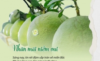 Nhà thơ, nhà báo Nguyễn Hồng Vinh: Bài thơ “Nhân mãi niềm vui” và “cái cớ” đáng yêu…