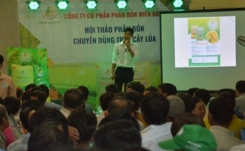 Công ty Cổ phần Phân bón Miền Nam tổ chức hội thảo “Phân bón chuyên dùng trên cây lúa”