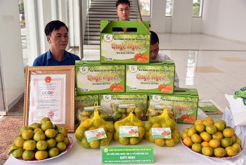 Thương mại điện tử: Kênh phân phối hiệu quả