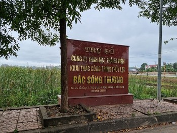 Nhiều vi phạm làm sai lệch kết quả lựa chọn nhà thầu