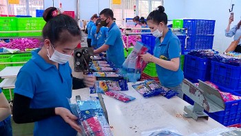 Đồng Nai: Doanh nghiệp FDI chiếm 74,3% trong tổng kim ngạch xuất khẩu