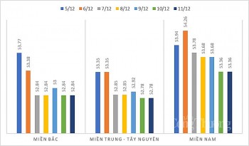 Giá heo hơi hôm nay 11/12: Dao động trong khoảng 51.000 – 55.000 đồng/kg