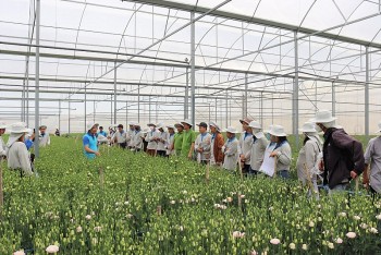 Yara Việt Nam hưởng ứng mạnh mẽ mục tiêu phát triển bền vững nông nghiệp Việt