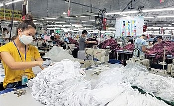 Thừa Thiên Huế: “Mạnh tay” với doanh nghiệp nợ bảo hiểm