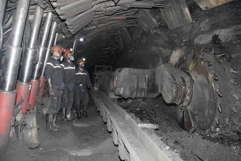 Công ty Than Hạ Long - TKV: Doanh thu đạt 111% kế hoạch đề ra