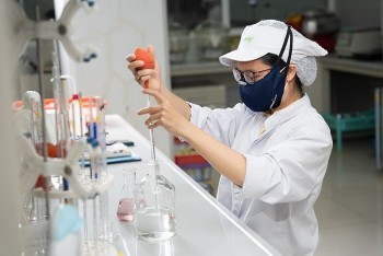 Vinasoy lên kế hoạch đưa hệ sinh thái thực vật Việt vươn tầm thế giới