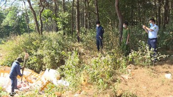 Gia Lai: Tiêu hủy hơn 600 kg thực phẩm không rõ nguồn gốc, xuất xứ