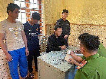 Đắk Lắk: Triệt phá đường dây trồng, tàng trữ, mua bán cần sa liên tỉnh quy mô lớn