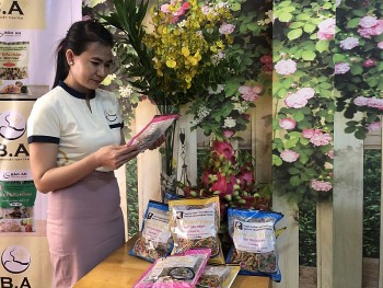 Sôi động thị trường thịt thực vật