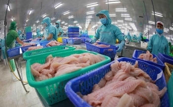 Hàng Việt đối diện nhiều thách thức từ thị trường EU