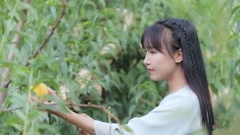 Lý Tử Thất tái hợp với công ty quản lý Vô Niệm Hàng Châu