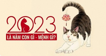 Năm 2023 là năm con gì, ai sẽ gặp may mắn?