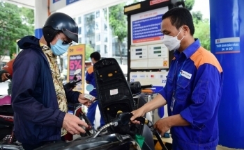 PGS.TS Ngô Trí Long: Điều chỉnh sớm giá xăng dầu là hài hoà, hợp lý