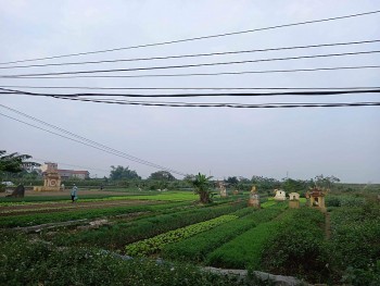 Hộp thư bạn đọc ngày 3/1: Dấu hiệu sai phạm tại Công ty Gạch Tuynel Phương Ngân, Cụm công nghiệp Long Xuyên