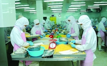 Xuất khẩu cá tra giảm, doanh nghiệp linh hoạt điều chỉnh thị trường