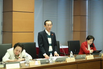 Đại biểu Quốc hội: Không thể vẽ viễn cảnh như New York hay Paris khi nguồn lực có hạn