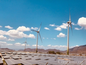 Ban hành khung giá phát điện nhà máy điện mặt trời, điện gió chuyển tiếp