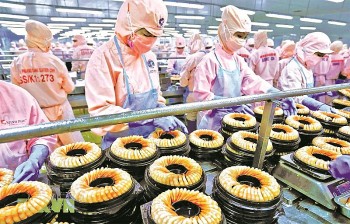 10,8 nghìn doanh nghiệp thành lập mới trong tháng 1/2023