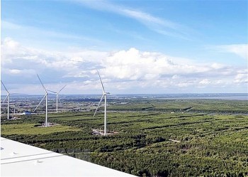 Điện gió ngoài khơi Việt Nam thu hút các nhà đầu tư nước ngoài