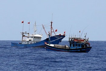 Chống khai thác hải sản bất hợp pháp: Cần cụ thể hóa nội dung tuyên truyền