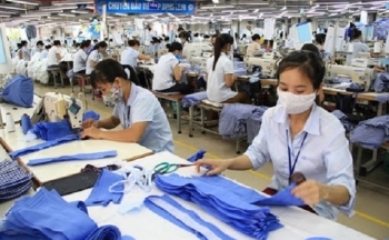 Dệt may, đồ gỗ, thủy sản có 1 năm thắng lớn tại Nhật Bản