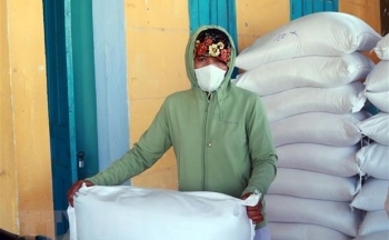 Xuất cấp gạo cho tỉnh Bắc Kạn, Kon Tum dịp Tết Nguyên đán Quý Mão