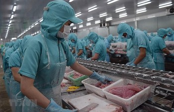 Dự báo lợi nhuận doanh nghiệp thủy sản giảm trong năm 2023