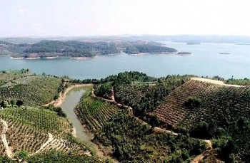 Lâm Đồng tìm chủ cho 