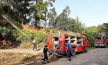 8 vụ cháy rừng tại Sóc Sơn, không loại trừ khả năng kẻ gian đốt