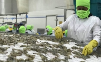 Thương mại Việt Nam- Hàn Quốc tăng thêm gần 9 tỷ USD