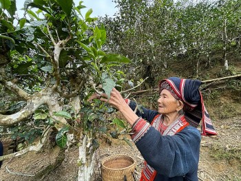 Chạm vào miền cổ tích