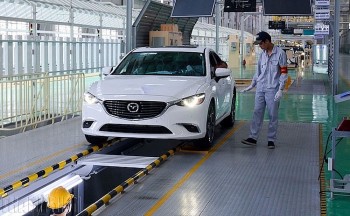 Đề xuất thành lập lực lượng thanh tra đăng kiểm