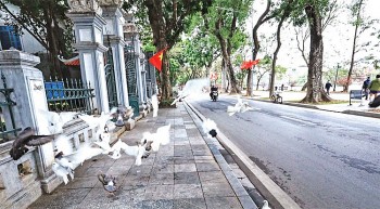 Khoảng lặng sáng mồng một Tết