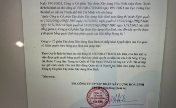 Ông Lê Viết Hải tiếp tục làm chủ tịch hợp pháp của Tập đoàn Xây dựng Hòa Bình